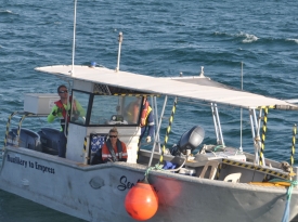 Vessel-Seafarer-2